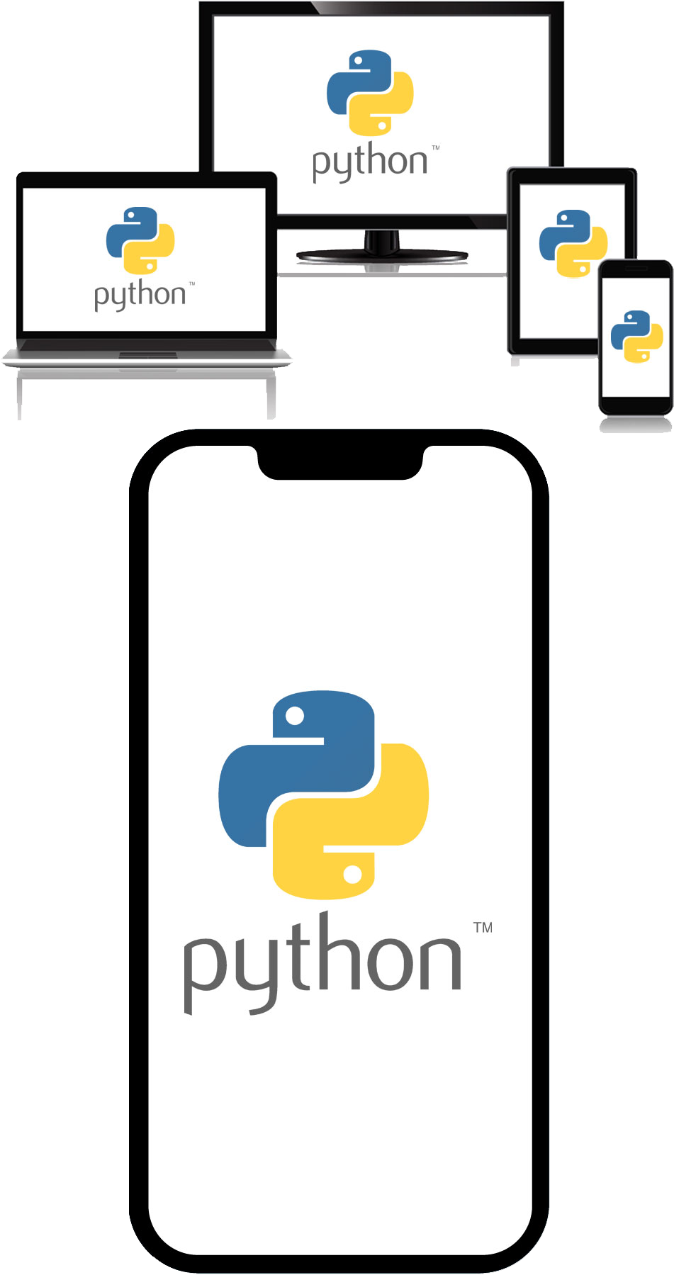 Python Web Development Process