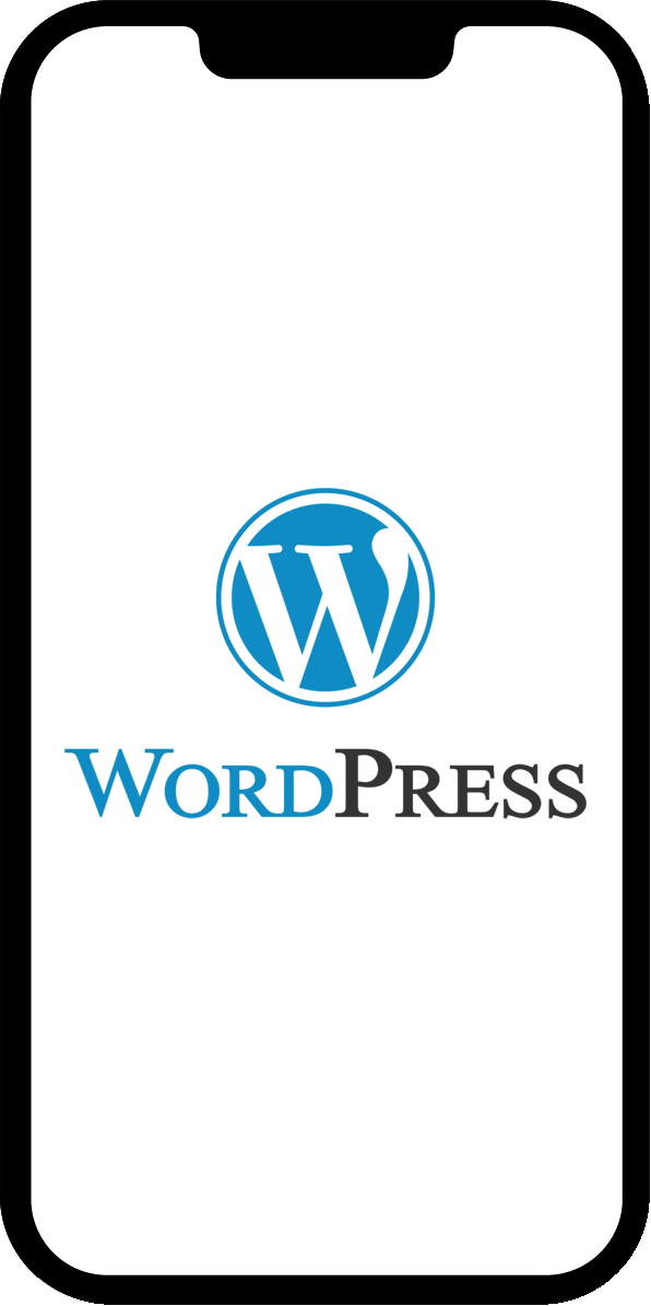 Wordpress Development Process